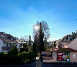 Ausblick Wohnzimmer