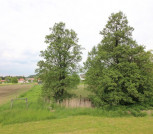 angrenzender Teich, Blick vom Balkon