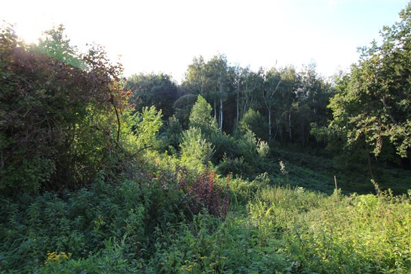 VERKAUFT! großes Baugrundstück in Alkofen - ruhige Lage am Waldsaum
