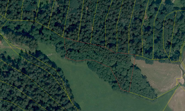Forstgrundstück mit Waldbestand Außernzell, 5121 m²